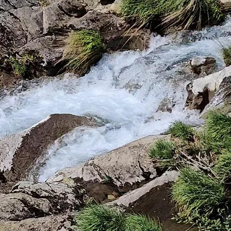 Amor-in Hébergement de vacances Amorin