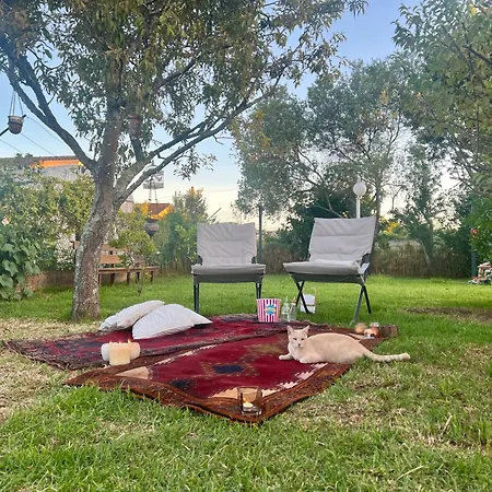 Hébergement de vacances Amor-in Amorin