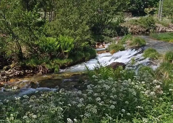 Amor-in בית נופש