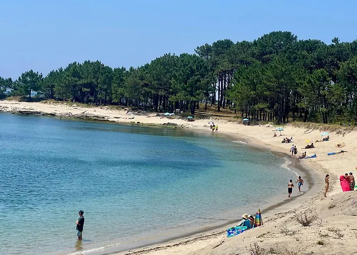 Amor-in בית נופש